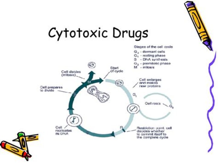 Are all chemotherapy drugs cytotoxic?