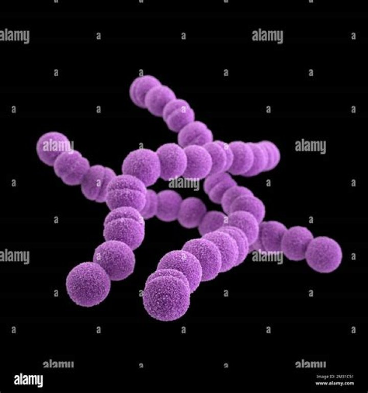 Are all cocci non motile?