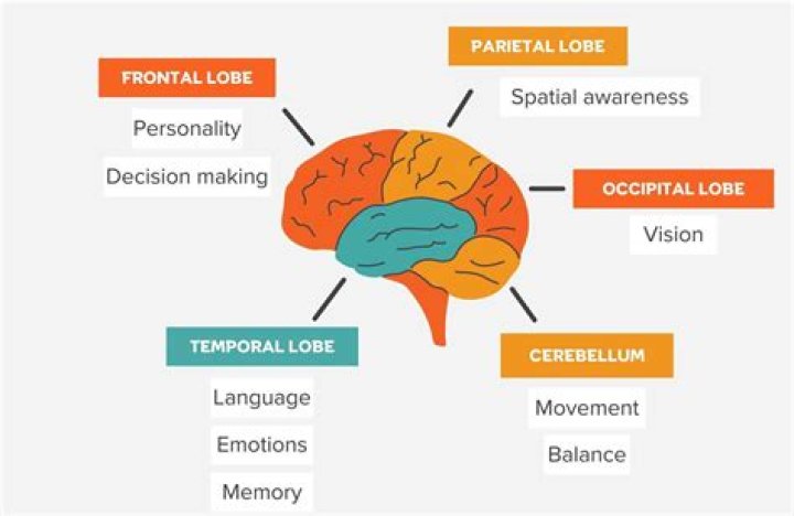 Are all dementias fatal?