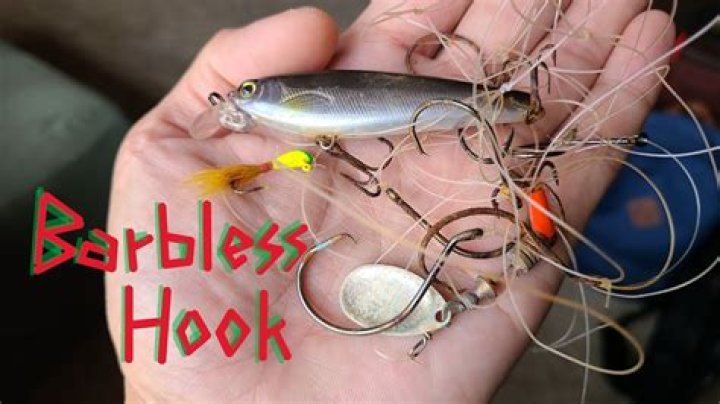 Are barbless hooks required in bc?