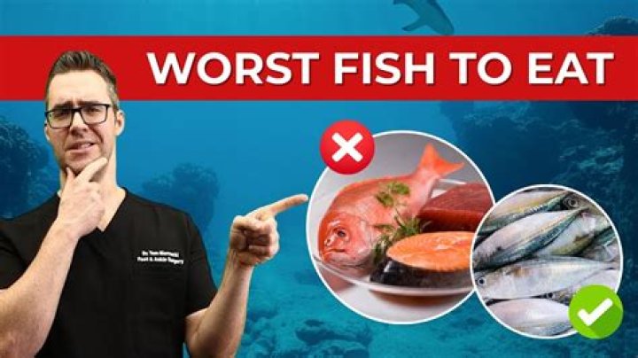 Are bonita fish good to eat?