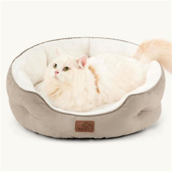 Are cat beds washable?