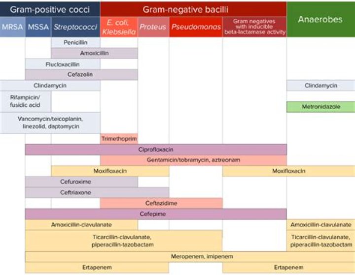 Are cephalosporins broad spectrum?