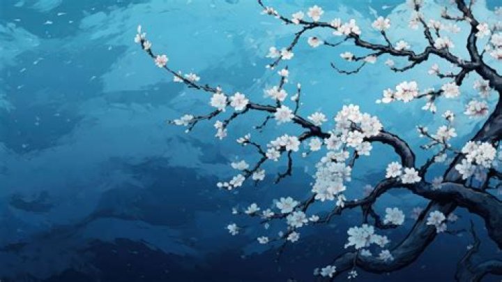 Are cherry blossoms blue?