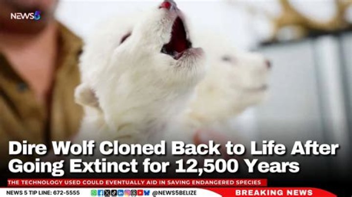 Are cloned animals safe to eat?