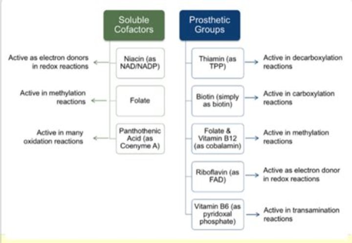 Are cofactors consumed in reaction?