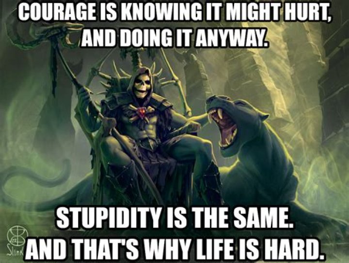 Are courage and stupidity the same?