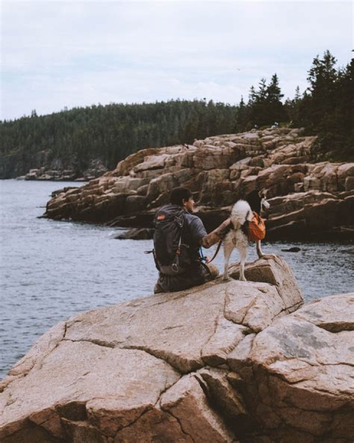 Are dogs allowed at beals point?