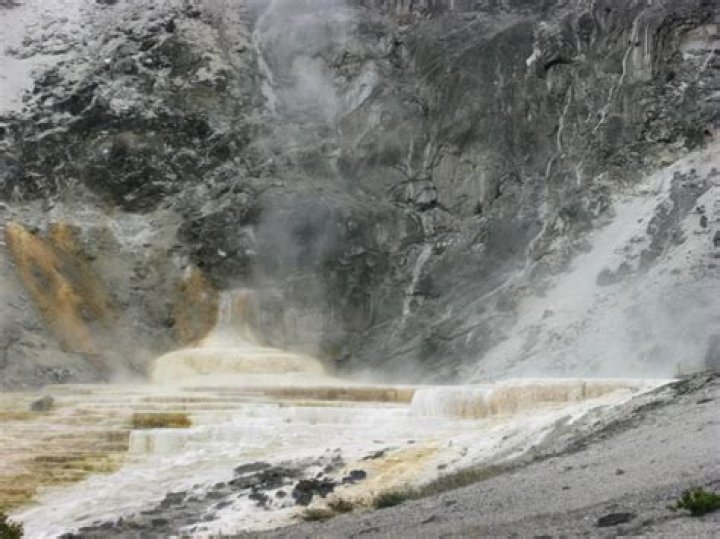 Are dogs allowed at old faithful?