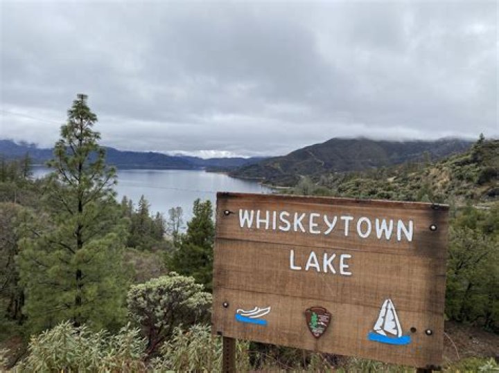 Are dogs allowed at whiskeytown lake?