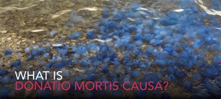 Are donatio mortis causa?