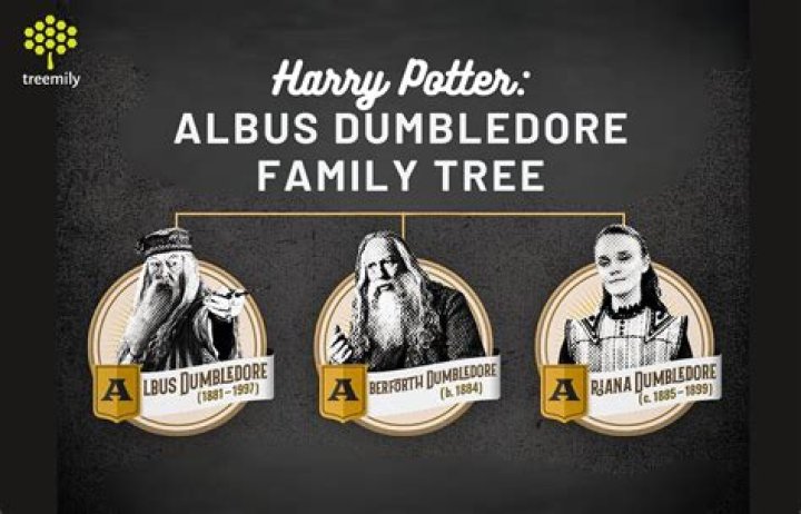 Are dumbledore and credence brothers?