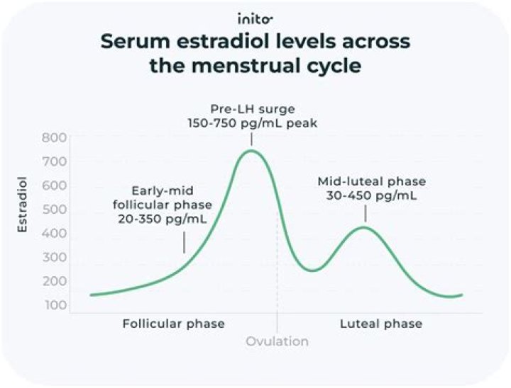 Are estrogen levels low during period?