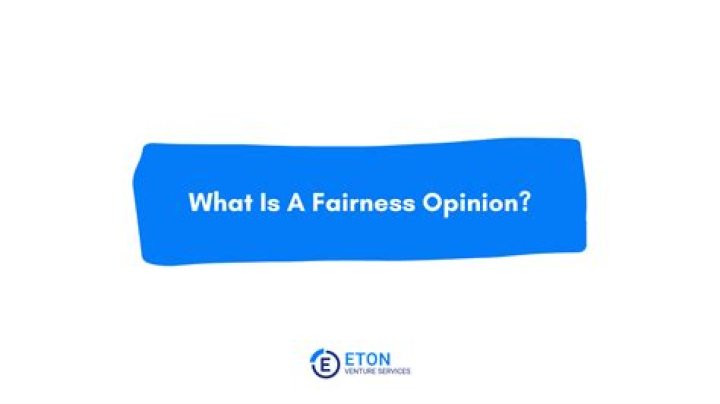 Are fairness opinions public?