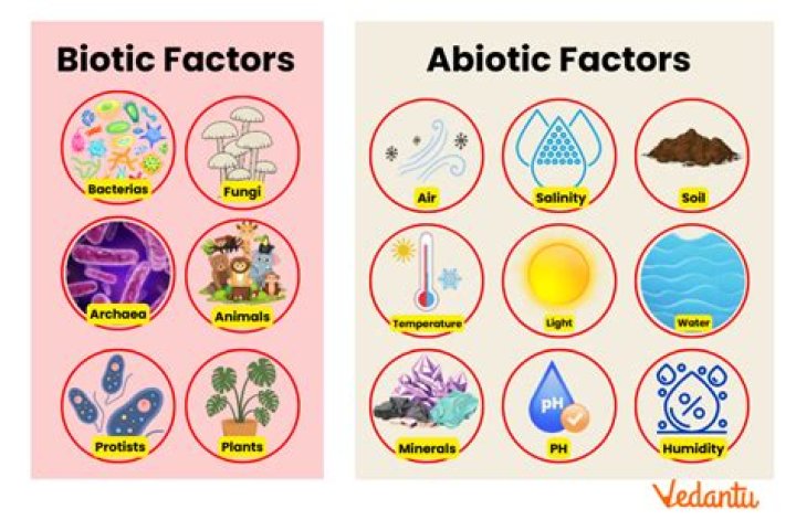 Are feces biotic or abiotic?