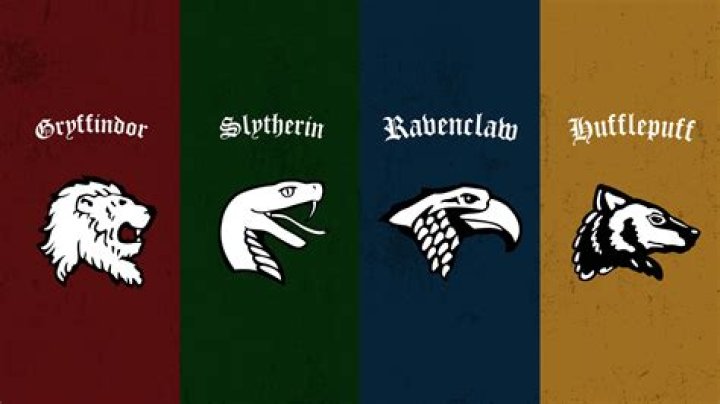 Are gryffindor and slytherin enemies?