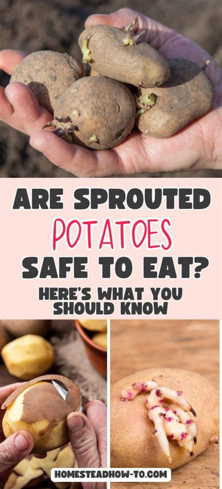 Are homegrown potatoes safe to eat?