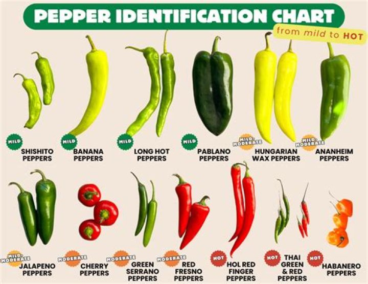 Are inferno peppers hot?