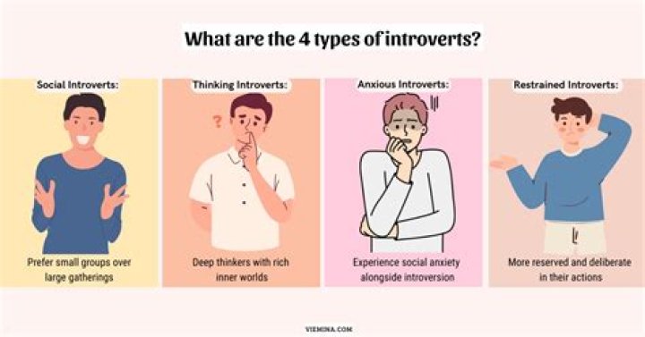 Are introverts anti social?