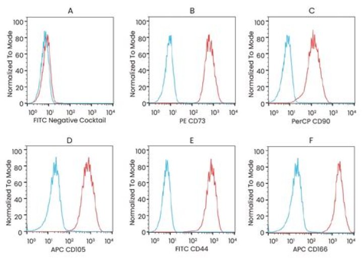 Are isotype controls necessary?