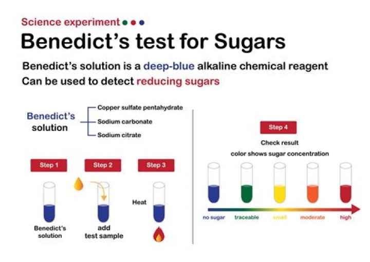 Are ketones oxidized in benedict's test?