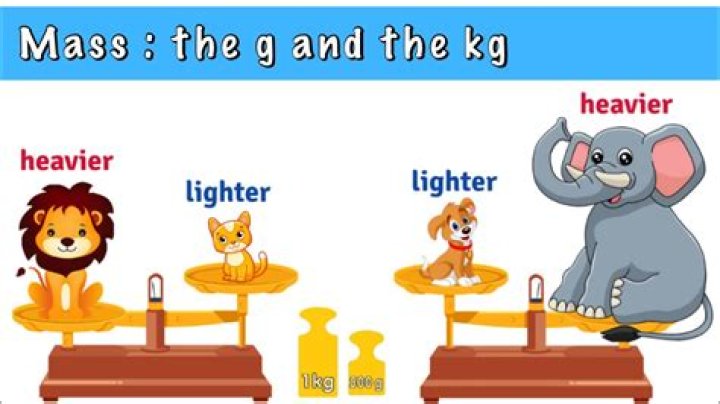 Are kilo and kilogram the same?