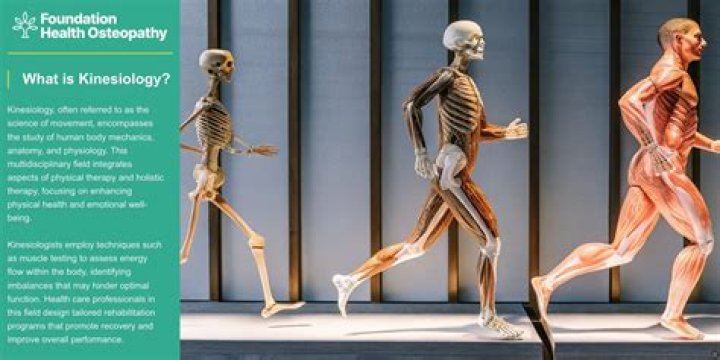 Are kinesiology degrees worth it?