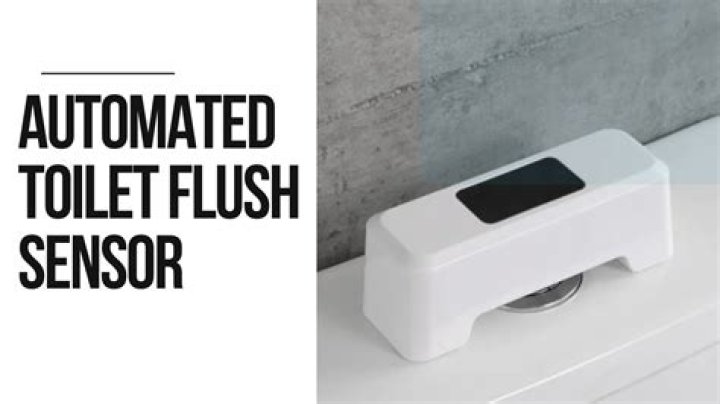 Are lab pointers or flushers?