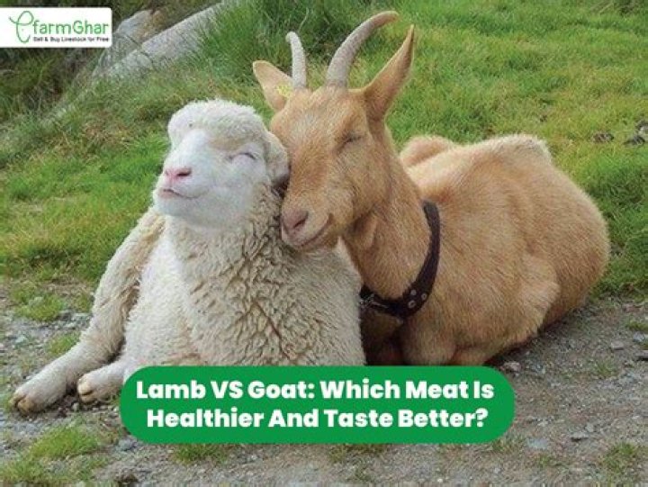 Are mutton and goat the same?