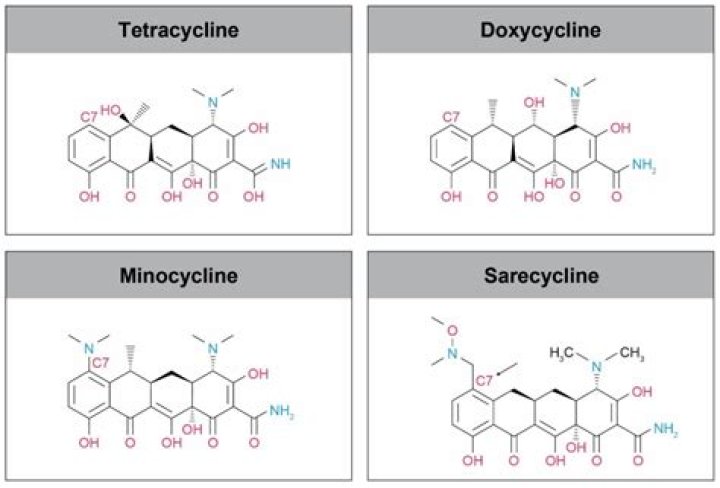 Are oxytetracycline and tetracycline the same?