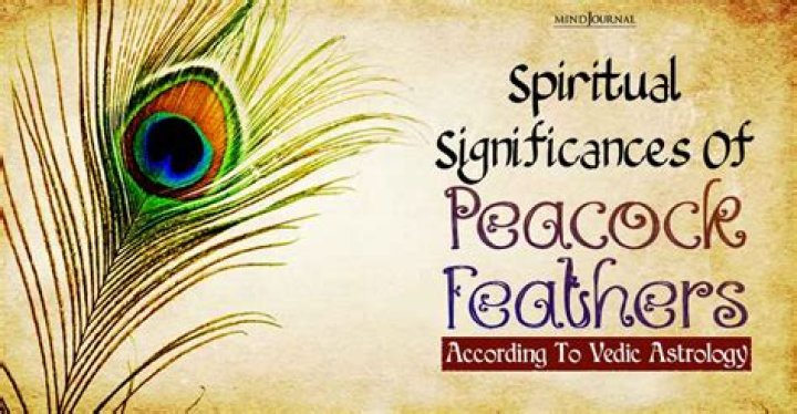 Are peacock feathers unlucky?