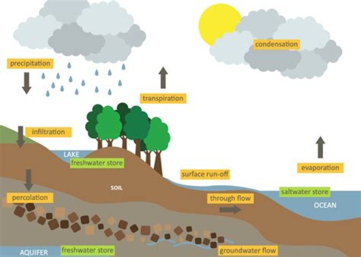 Are percolation and infiltration the same thing?