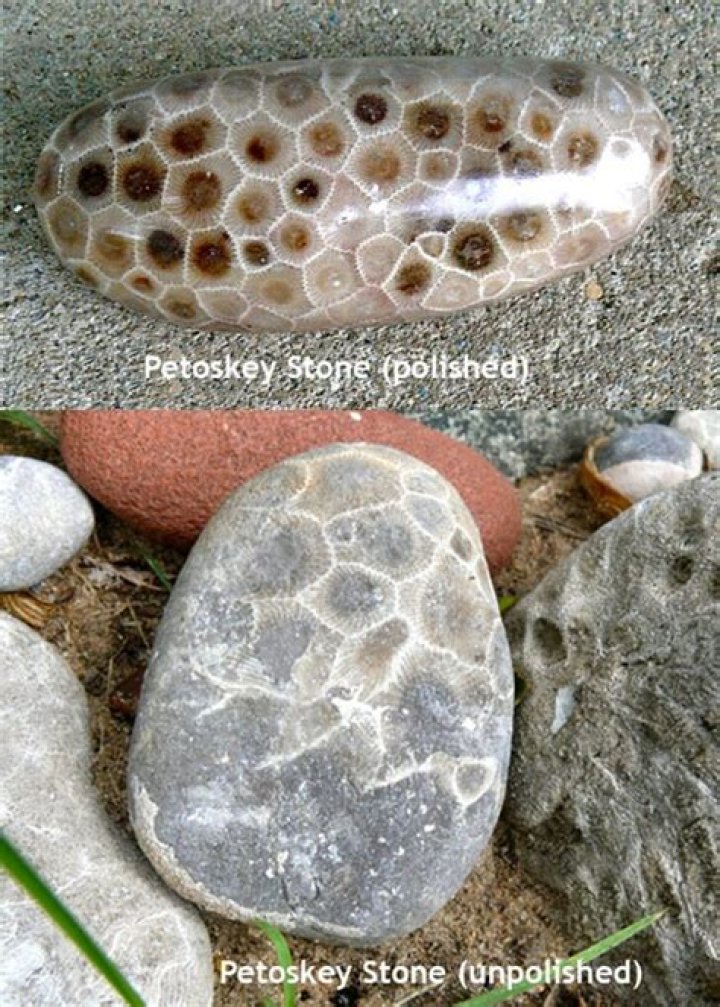 Are petoskey stones found in lake huron?