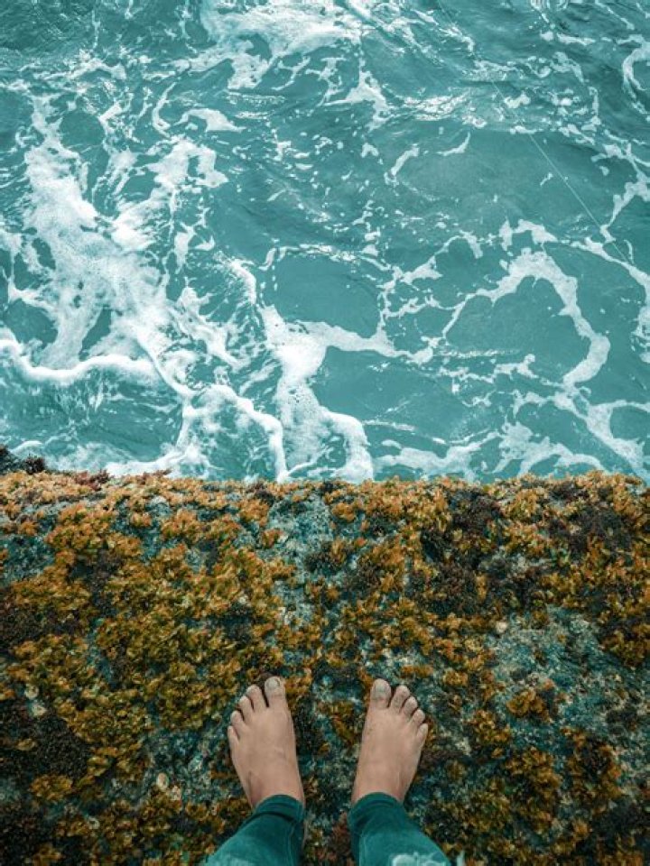 Are pexels images free?