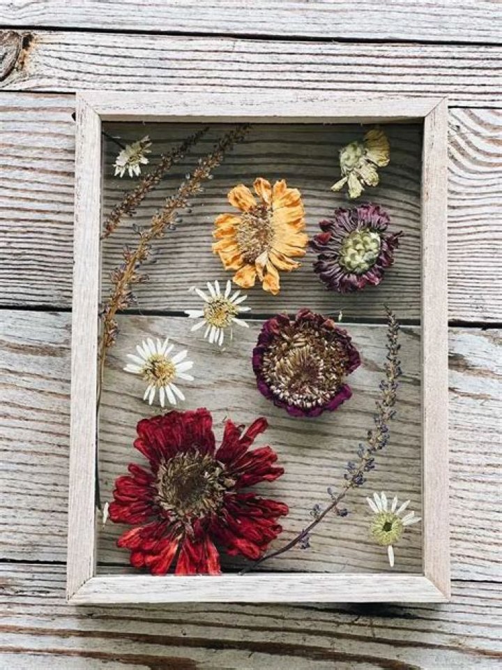 Are pressed flowers dried?