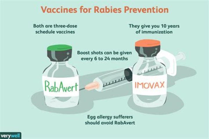 Are rabies shots painful?