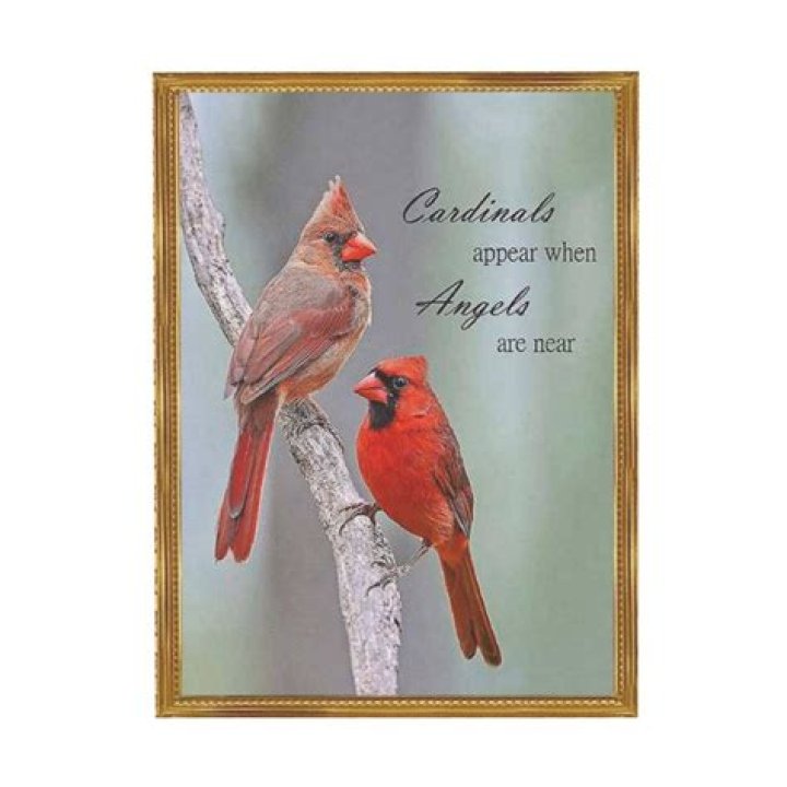 Are redbirds and cardinals the same?