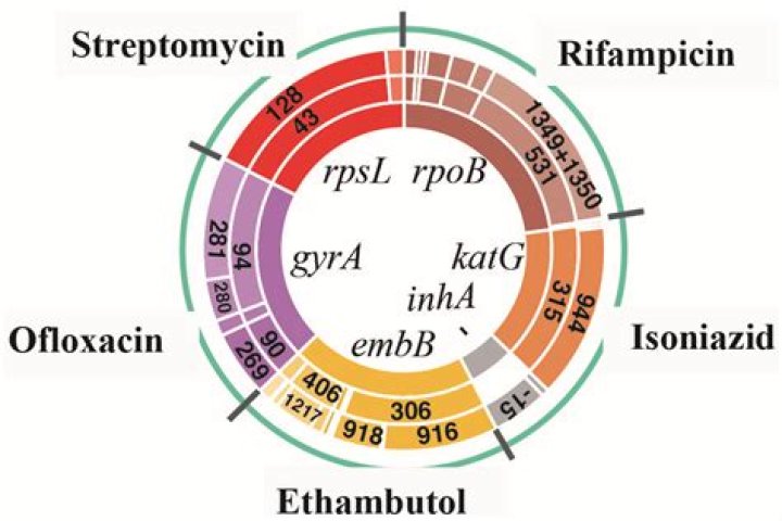 Are rifampin and rifampicin the same thing?