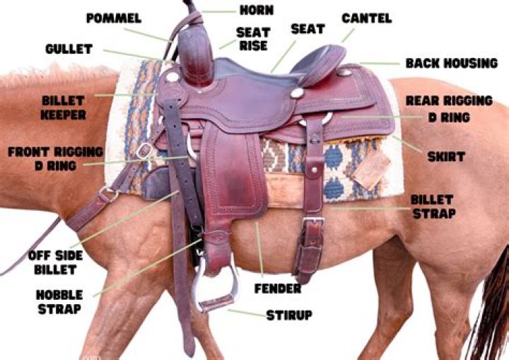 Are roping saddles comfortable?