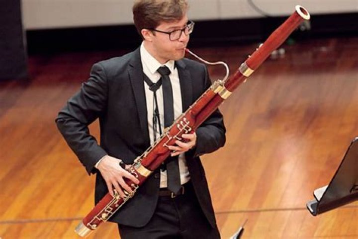Are schreiber bassoons good?