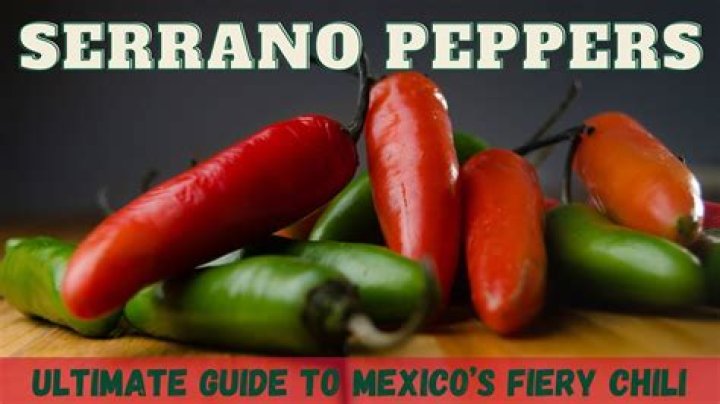 Are serrano peppers spicy?