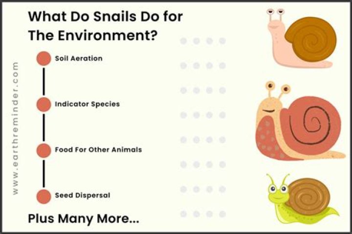 Are snails bad for the environment?
