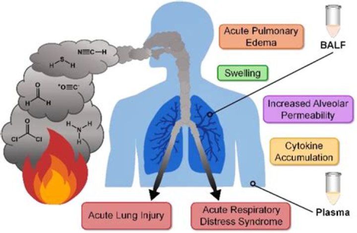 Are sterno fumes toxic?