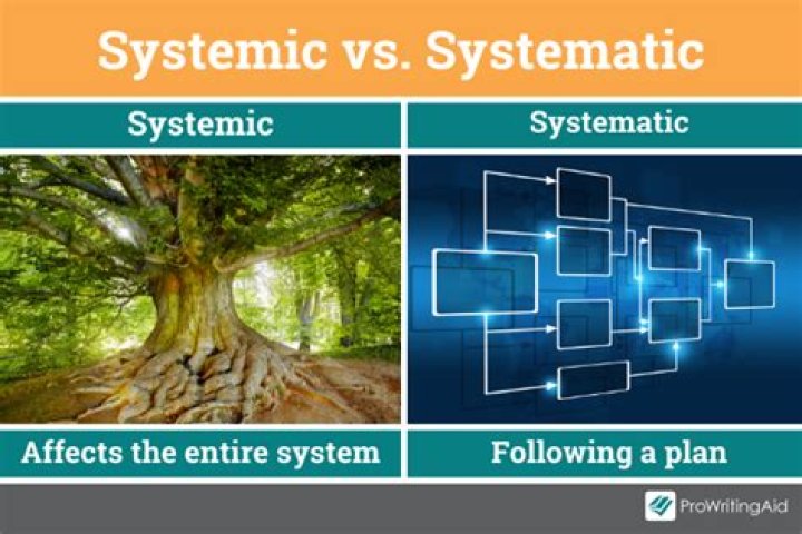 Are systemic and systematic the same thing?