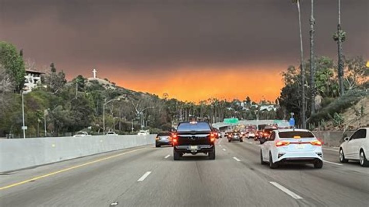 Are there forests in california?