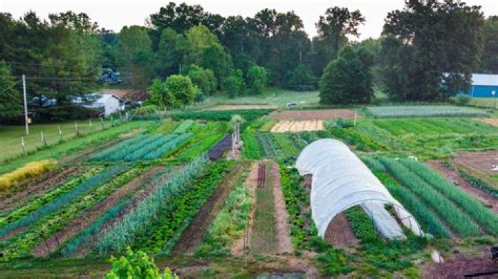 Are there still pmu farms?