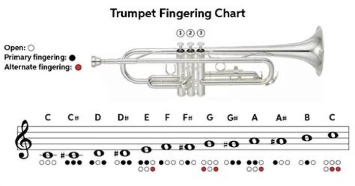 Are trumpets hard to play?
