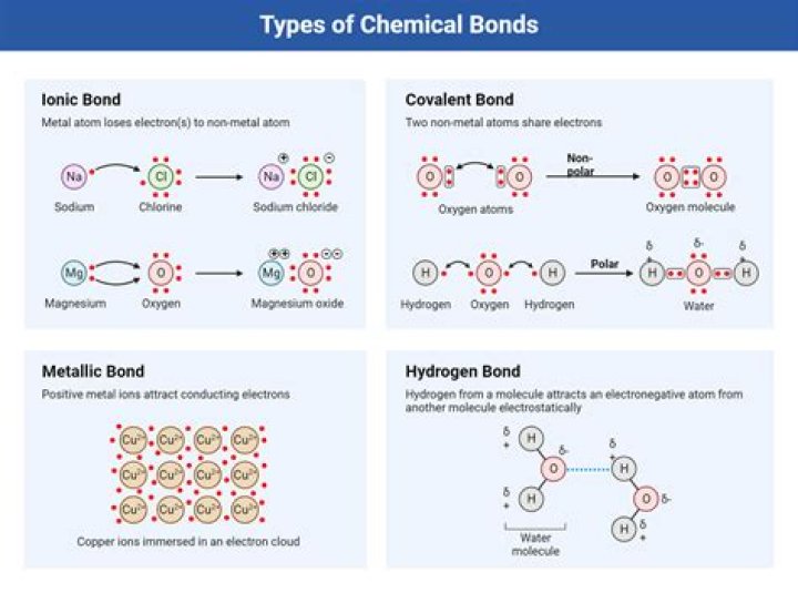 Are two types of bonds?