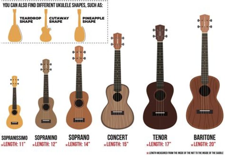 Are ukuleles from hawaii?
