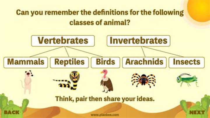 Are vertebrates important why?